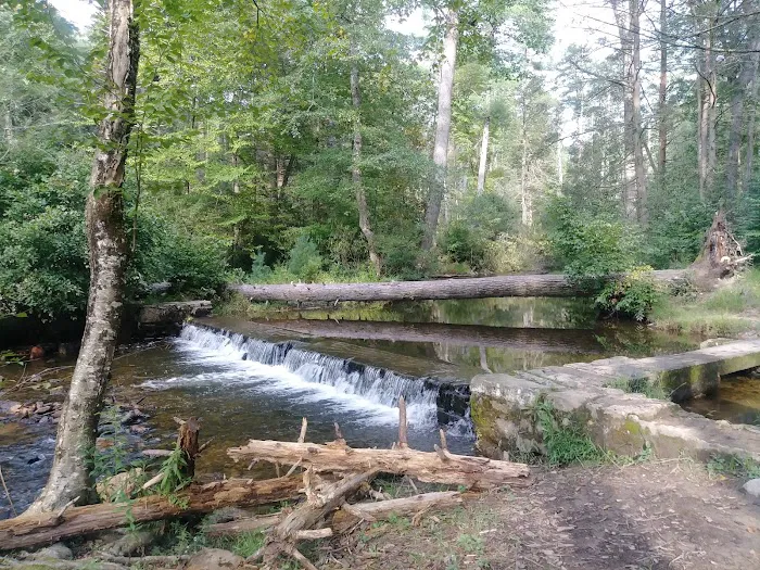 Chinquapin Hill Campground Picture 7