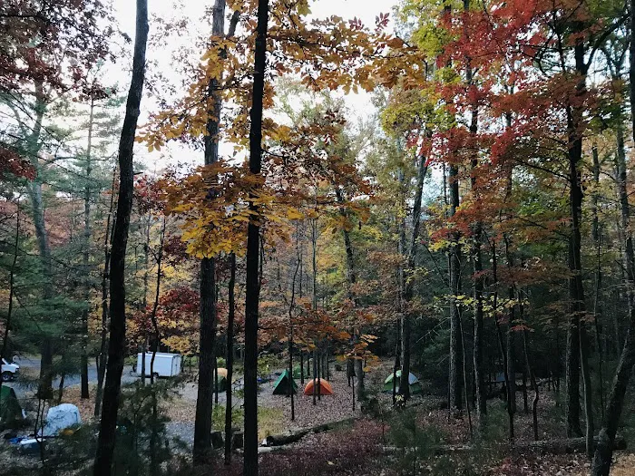 Chinquapin Hill Campground Picture 8