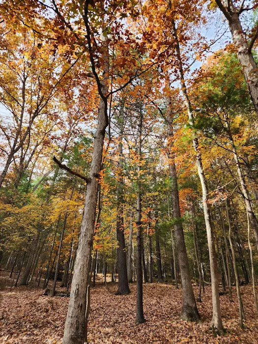 Chinquapin Hill Campground Picture 10
