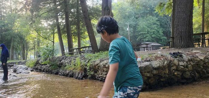 Chinquapin Hill Campground Picture 3