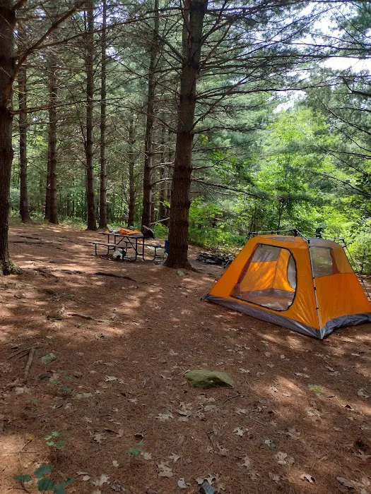 Whispering Pines Picture 6