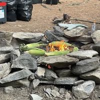 Whispering Pines ico