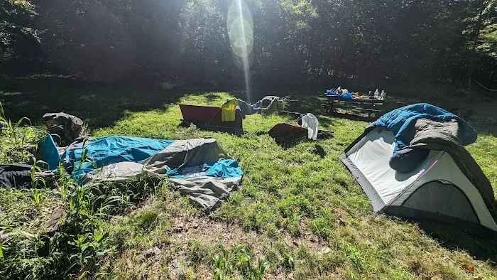 17-Firefox Picture 3