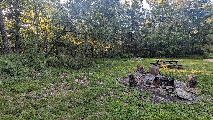 17-Firefox Picture 1