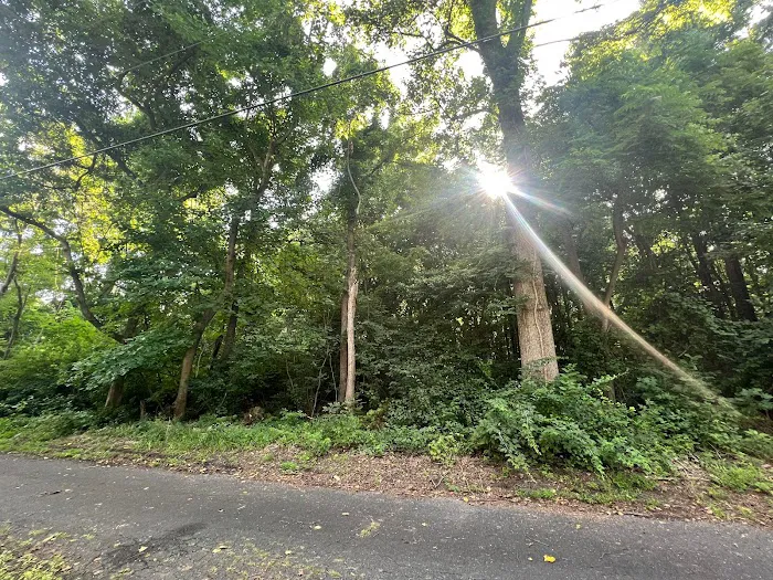 Soulcare Countryside R&R Homestead Picture 4