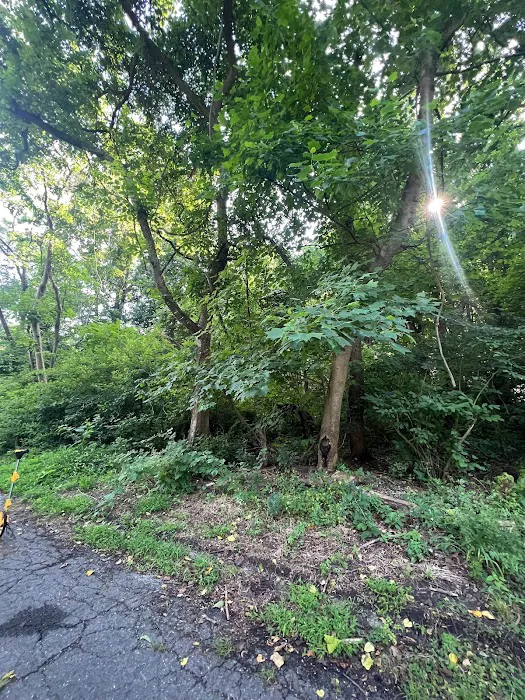 Soulcare Countryside R&R Homestead Picture 5