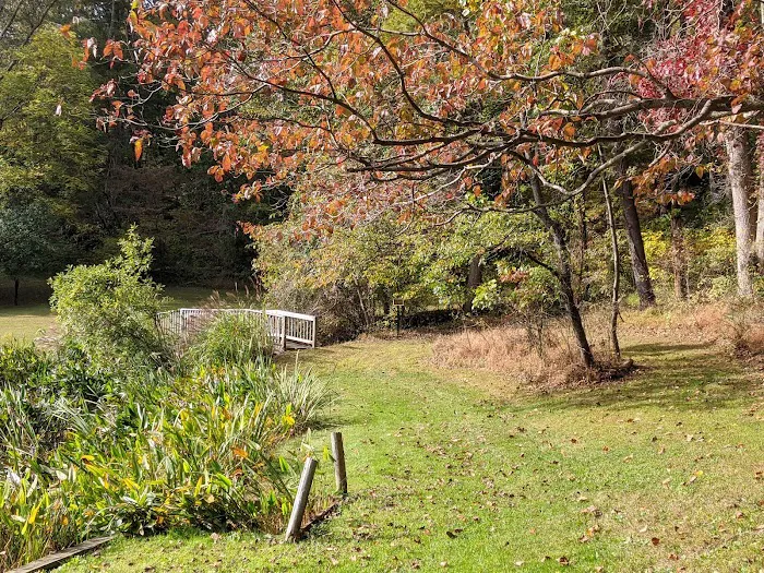 Camp Wo-Me-To Picture 2