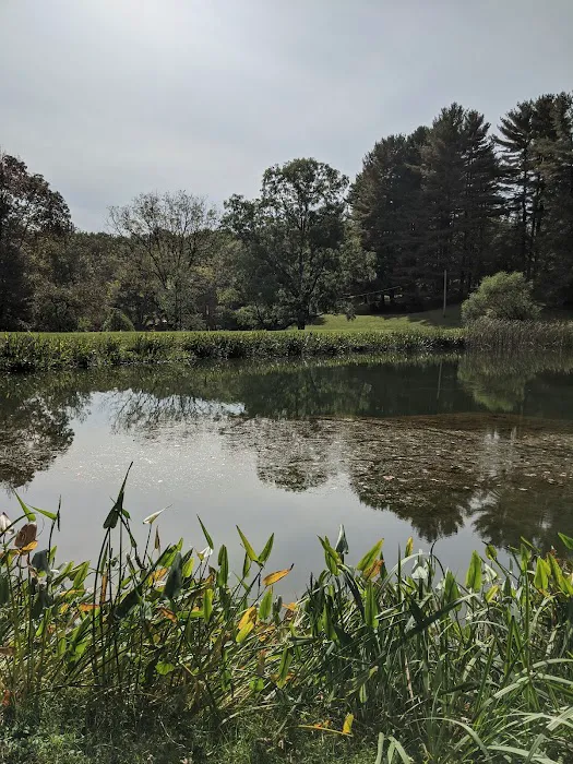 Camp Wo-Me-To Picture 5