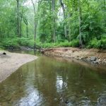 Robert C McDonell Campground