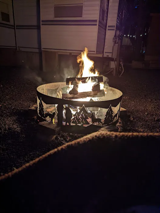 Genesee Country Campground Picture 3