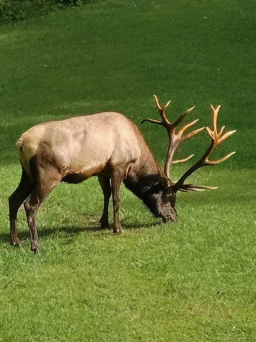 Bull Hollow Lodge Picture 1