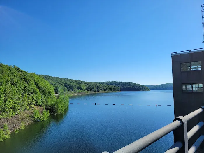 East Branch Campground Picture 9