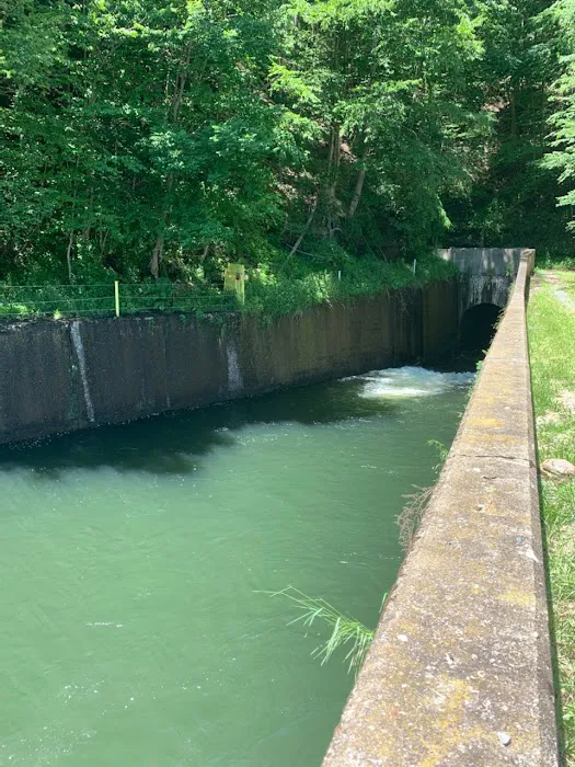 East Branch Campground Picture 6