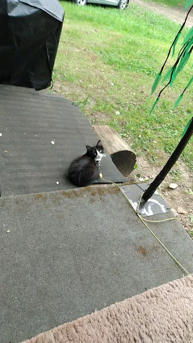 Black Bear Campground Picture 6