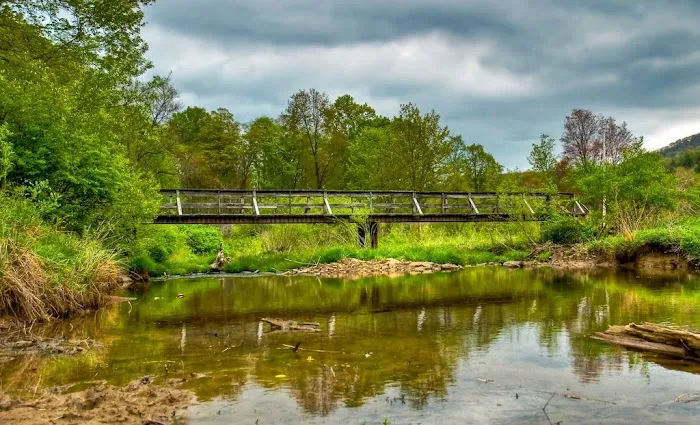 Group Camp 12 Picture 5