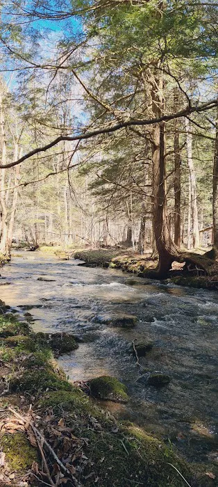 Allegany State Park Horse Camp Picture 2