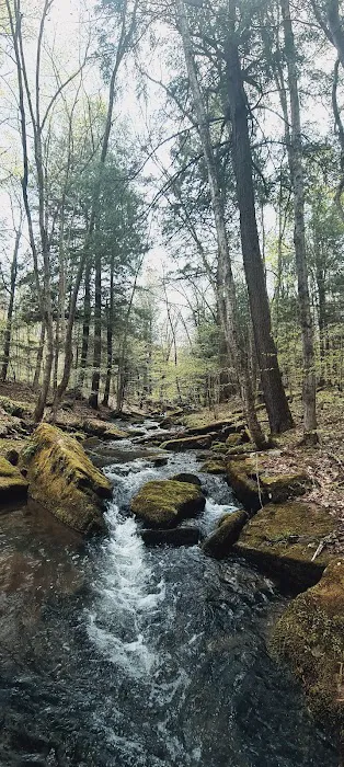 Allegany State Park Horse Camp Picture 4