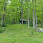 Congdon Cabins