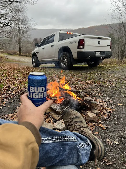 Congdon Cabins Picture 5