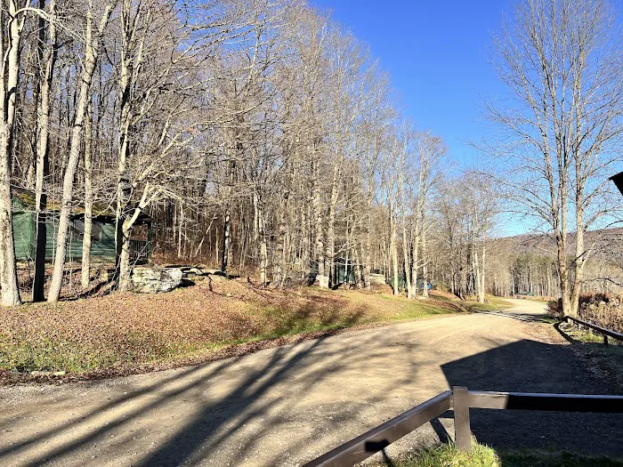 Congdon Cabins Picture 7