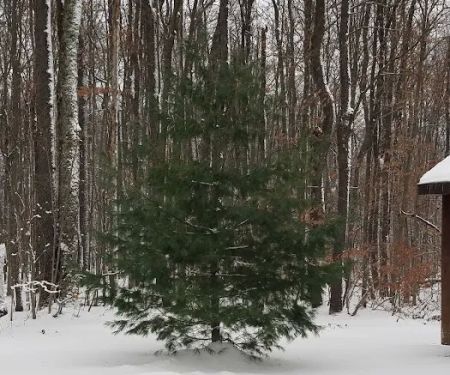 Woodhaven Campgrounds