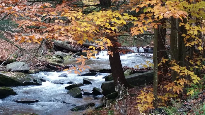 Kaiser Cabins Picture 5