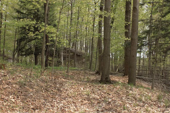 Letchworth Valley Campground & Resort, LLC Picture 8