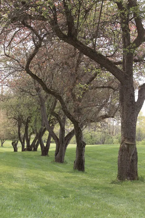 Letchworth Valley Campground & Resort, LLC Picture 5