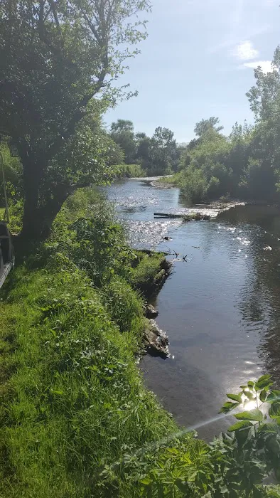 Mockingbird Park Picture 2