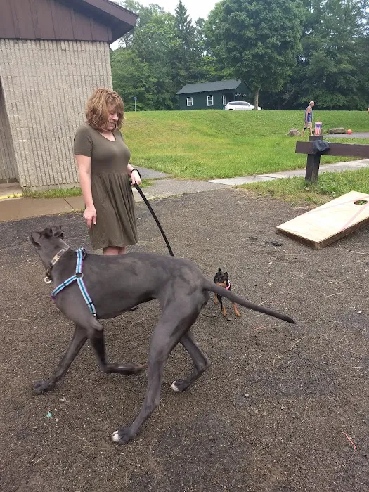 Summit Cabins Picture 2