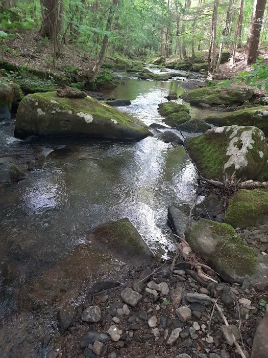 Beehunter Cabins Picture 9