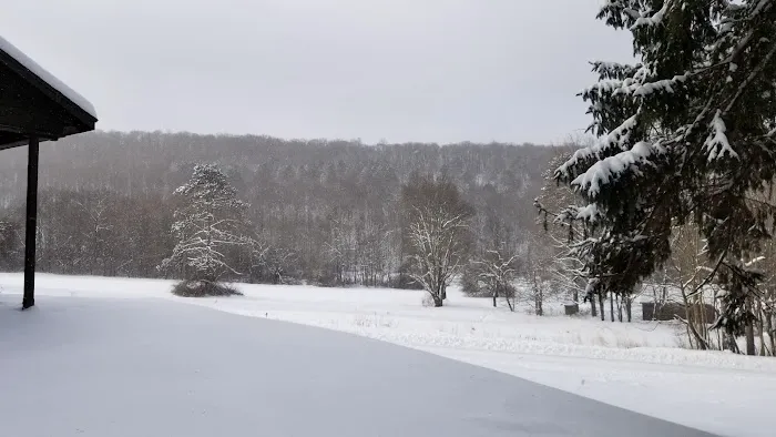 Beehunter Cabins Picture 7