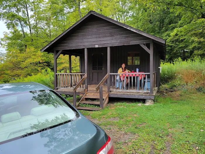 Beehunter Cabins Picture 2