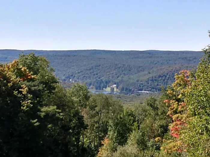 Beehunter Cabins Picture 6