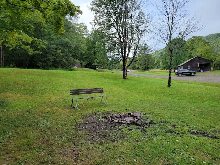 Beehunter Cabins Picture 4