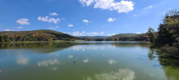 Beehunter Cabins Picture 3