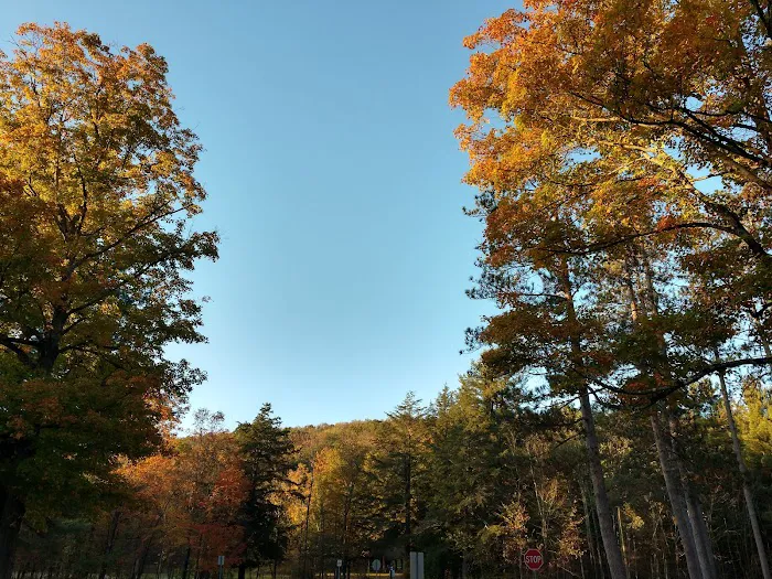 McIntosh Cabins Picture 10