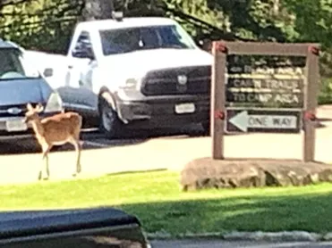 Redhouse Loop Campground Picture 1