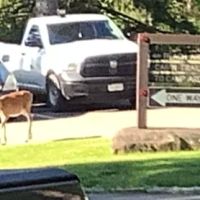 Redhouse Loop Campground ico