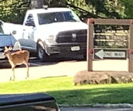 Redhouse Loop Campground