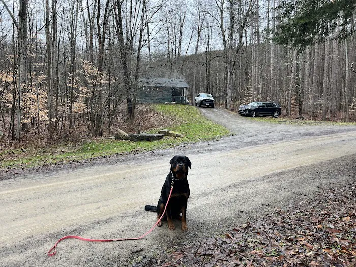 Sugarbush Cabins Picture 5