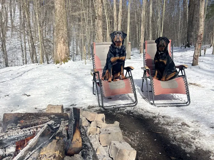 Sugarbush Cabins Picture 10