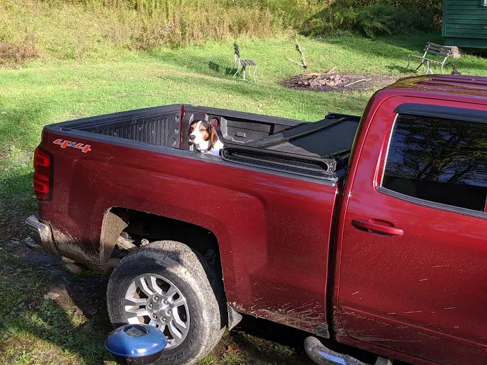 Anderson Cabins Picture 10