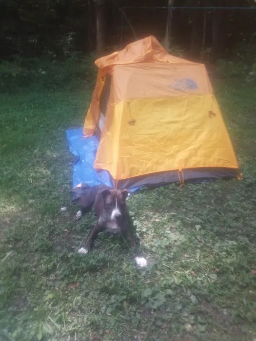 CCC Camp Seneca Picture 3