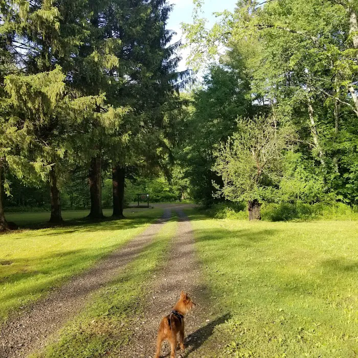 CCC Camp Seneca Picture 9