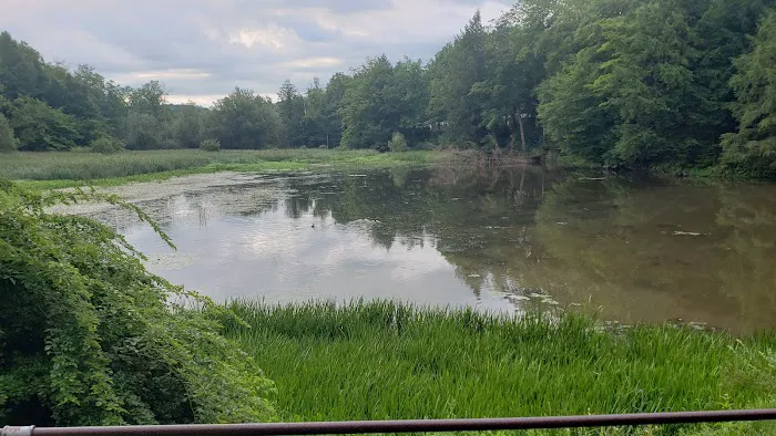 Three Valley Campground Picture 2