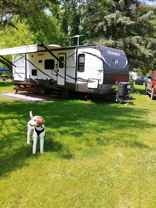 Woodstream Campsite Picture 7