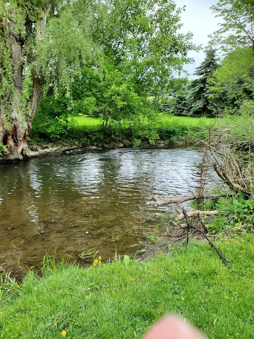 Woodstream Campsite Picture 8