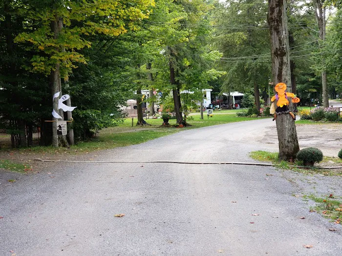 Woodstream Campsite Picture 9