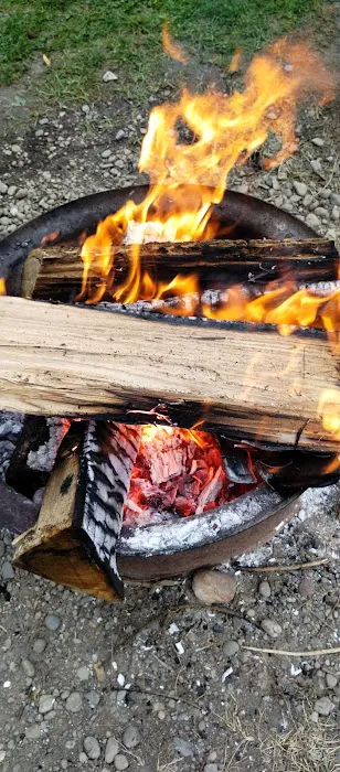 Woodstream Campsite Picture 6